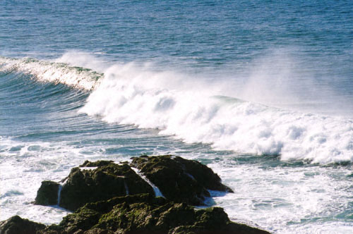 photo 2 in bodega head