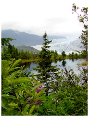 Mendenhall Glacier