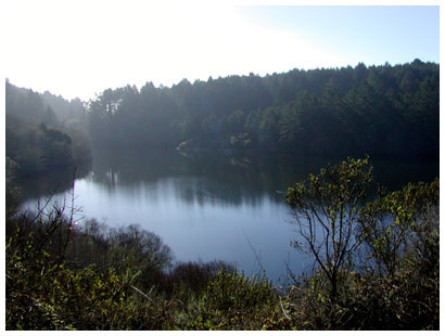 bass lake, pt. reyes