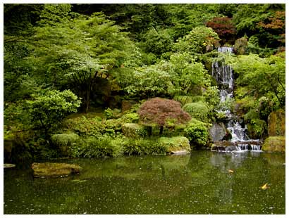 Japanese Garden