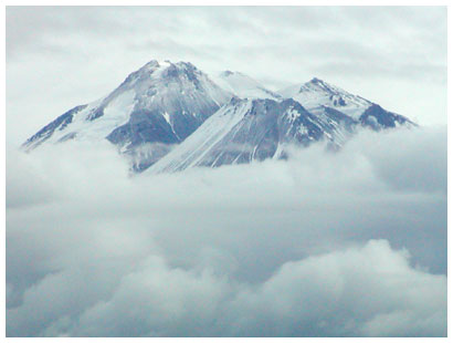 shasta in fog