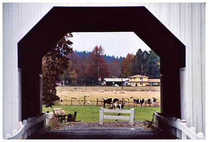 looking through a covered bridge