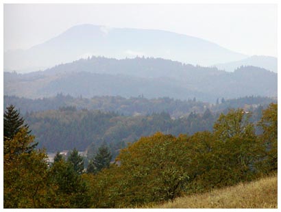 Mary's Peak