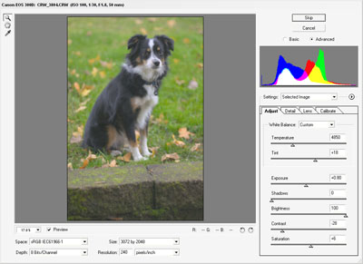 RAW file import RAW file import