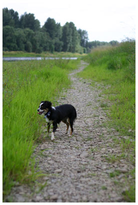 luna at the river