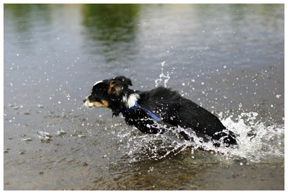 luna at the river