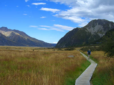 nz hiking