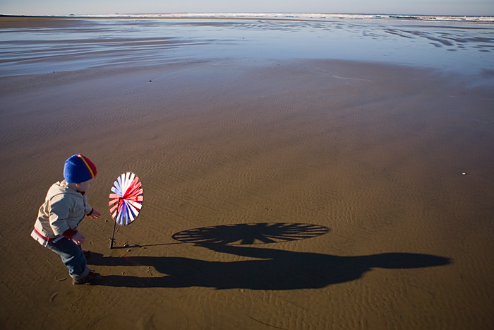 eddie beach shadow