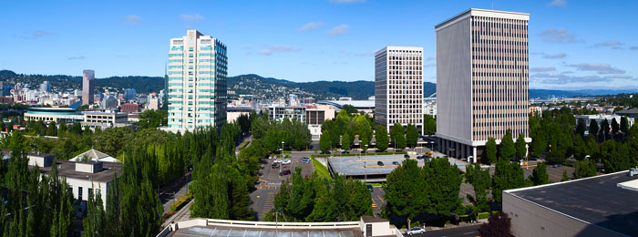 Portland Panorama