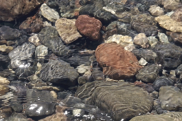Moving photograph of clear water flowing over colorful river rocks