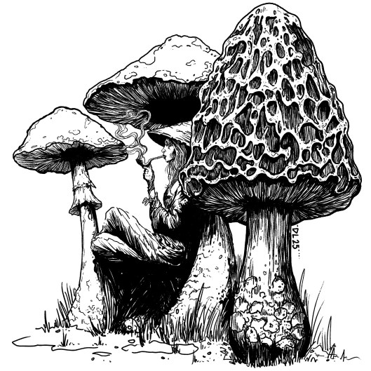 A fantasy black and white illustration of a small humanoid smoking a pipe surrounded on all sides by various tall mushrooms