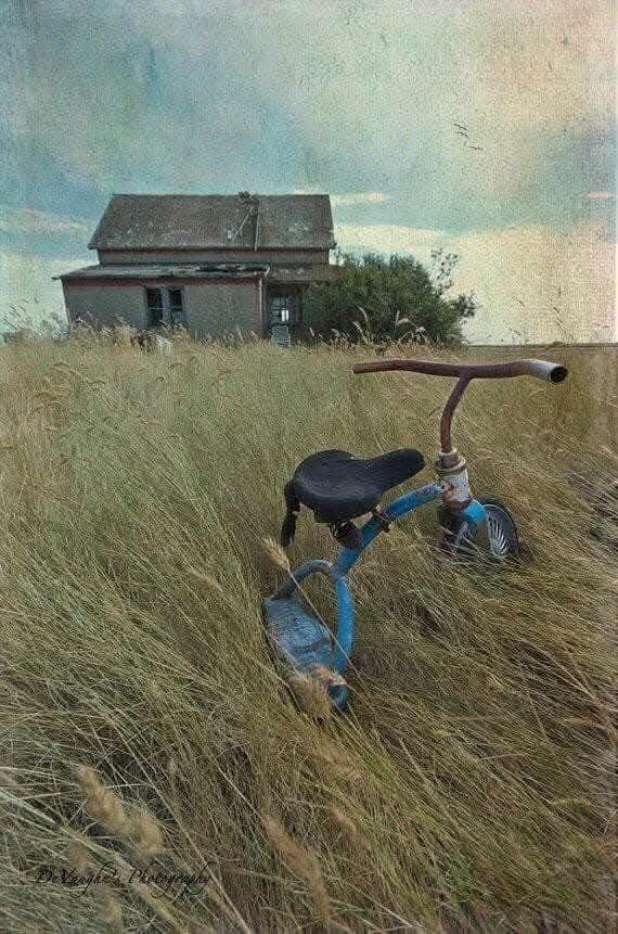 A painting of a blue rusted tricycle in a wheat field, a decaying house in the background 