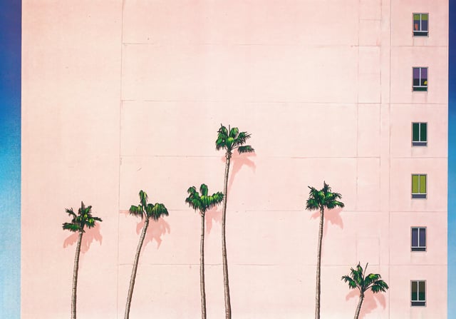 Six tall, slender palm trees casting shadows against a massive pale pink wall, with a vertical column of small, colorful windows running down the building's right edge.