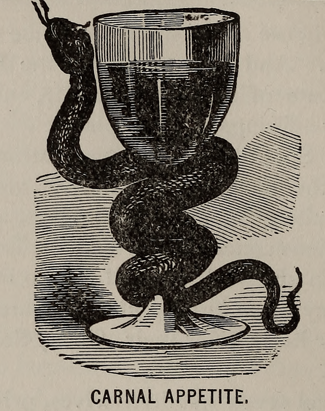 A vintage black-and-white illustration of a dark serpent coiled tightly around a goblet filled with liquid, its head raised near the rim. Below the illustration, text reads "CARNAL APPETITE."