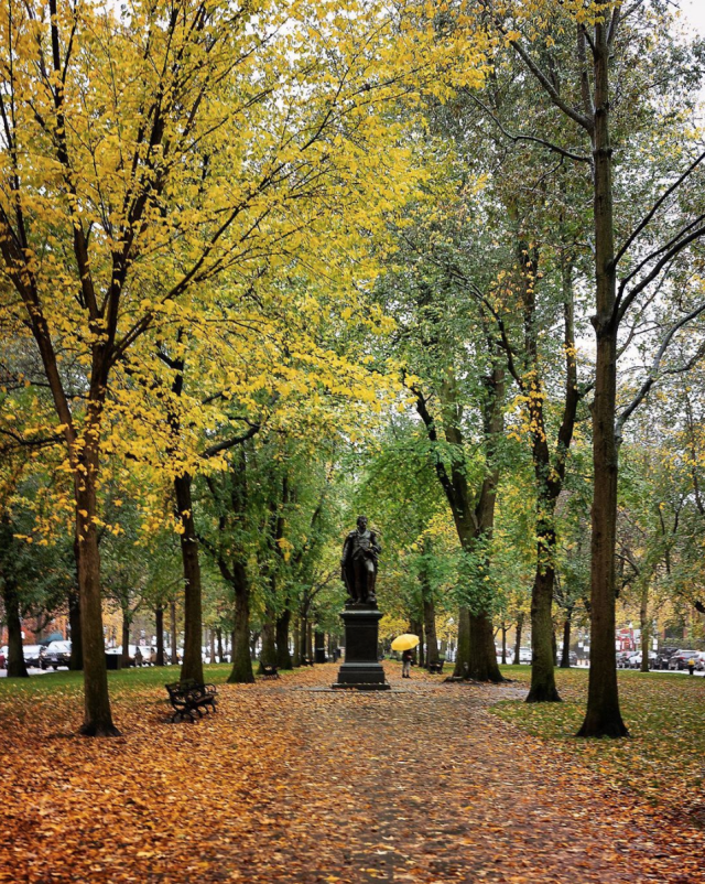 A tree-lined park walkway in autumn covered in fallen yellow leaves, leading toward a bronze statue on a dark pedestal in the distance. A person holding a bright yellow umbrella walks near the statue beneath the tall canopy of yellow and green foliage.